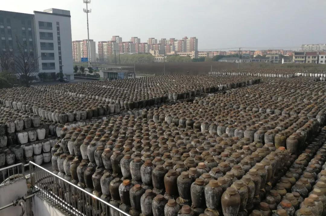 1553045590526204.jpg 5.jpg