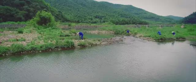 1595986390607479.jpg 2.jpg