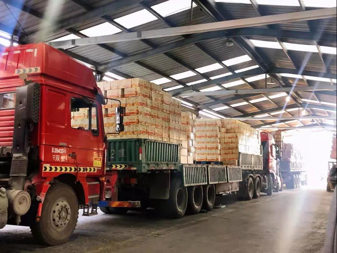 1614127645866826.jpg 2.jpg