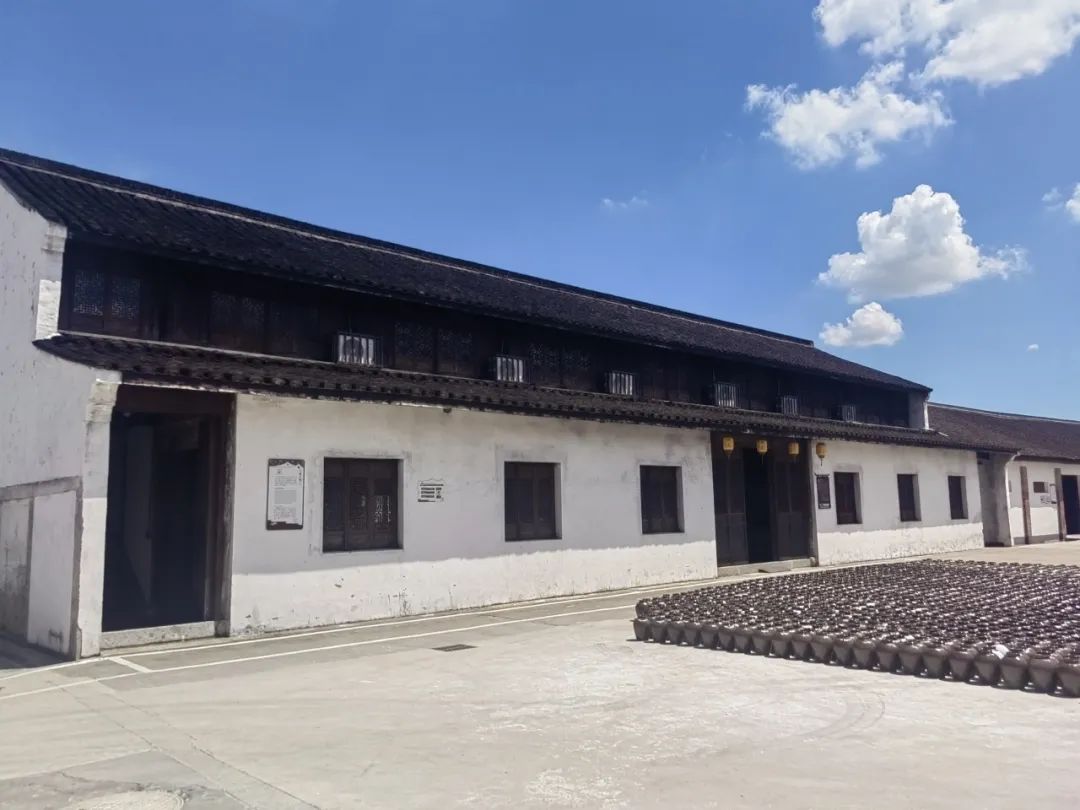 1731485022242795.jpg 7.jpg